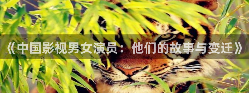 动漫在线观看樱花