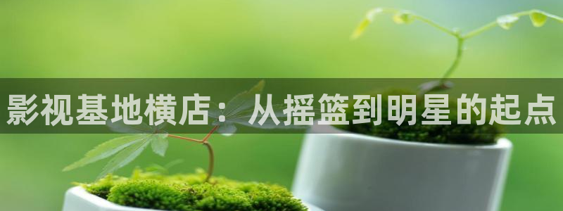 影之实力者免费观看樱花动漫